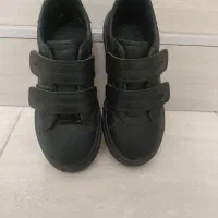 کفش|کیف، کفش، کمربند|کرمانشاه, |دیوار