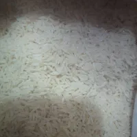 برنج|خوردنی و آشامیدنی|شهریار, رضی آباد بالا|دیوار