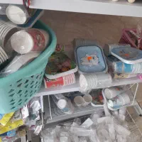 تم تولد