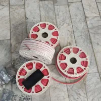 نئون شلنگی