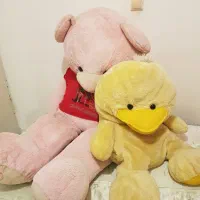 فروش وسایل خانه|مبلمان خانگی و میز عسلی|رشت, گلسار|دیوار