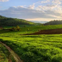 زمین