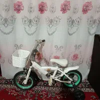 دوچرخه 12|دوچرخه، اسکیت، اسکوتر|تربت جام, معدآباد|دیوار