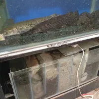 آکواریوم و ماهی معاوضه با حیوانات مزرعه و خانگی.