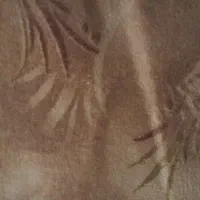 موکت ۱۲ متری