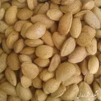 فروش بادام درختی