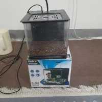 اکواریم دلسا