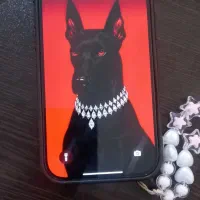 ایفون ۱۶ پرو ۲۵۶ آک|موبایل|اهواز, سپیدار|دیوار