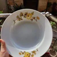 12تا بشقاب کاملا نو