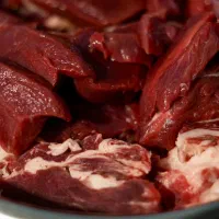 اموزش اشپزی با تکنیک از الف با تا پیشرفته|خدمات آموزشی|اصفهان, باغ زرشک|دیوار