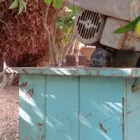 اره جوشکاری بزرک|ماشینآلات صنعتی|ایذه, |دیوار