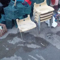 صندلی|میز و صندلی غذاخوری|نوشین شهر, |دیوار