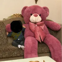 خرس بزرگ صورتی