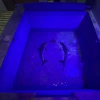 ویلامدرن نقلی۱۸۰زمین۱۵۰بنا فرصتی جذاب*در مهراباد*|فروش خانه و ویلا|رودهن, |دیوار