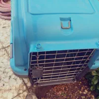 باکس سگ نو وسینی ادرار و پد|لوازم جانبی حیوانات|اصفهان, خانه اصفهان|دیوار