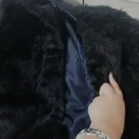 پالتو|لباس|رفسنجان, |دیوار