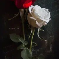 نیازمند راهنمایی