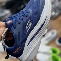 کتونی|کیف، کفش، کمربند|اهواز, زیتون کارگری|دیوار