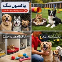 پانسیون و جفت سگ