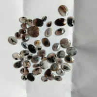نگین شجرولکه دارقاین بهاری فردوس نجف