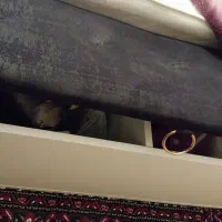 تخت دونفره|تخت و سرویس خواب|تاکستان, |دیوار