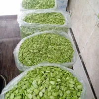 باقالا کاشان