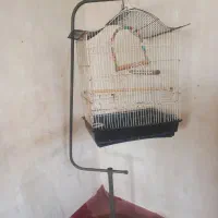 قفس پایه داربزرگ
