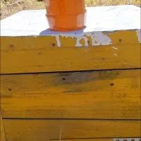 عسل طبیعی بدون شکر