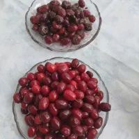 رب زغال اخته|خوردنی و آشامیدنی|محمدیه-قزوین, |دیوار