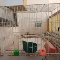 قفس پرنده
