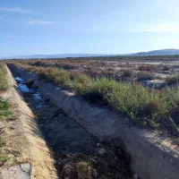 زمین زراعی ۵۱۰۰ متری