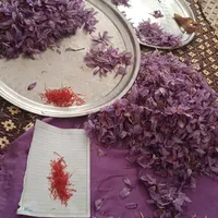 زعفران درجه یک و اصل مشهد|خوردنی و آشامیدنی|تهران, قیام‌دشت|دیوار