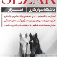 آموزش سوارکاری از مبتدی تا پیشرفته