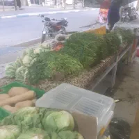 کارگر برای میوه فروشی