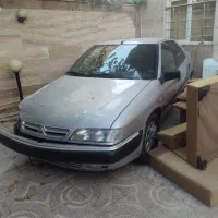 زانتیا تصادفی