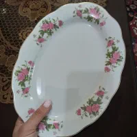 دیس کوچک گل سرخی