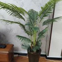 درختچه مصنوعی  قد دو متر