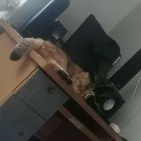 سیستم کامل مناسب  رندرینگ|رایانه رومیزی|کرمان, |دیوار