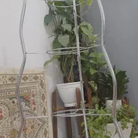 پایه قاملمه