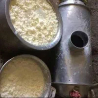 کره محلی گاوی|خوردنی و آشامیدنی|یزد, |دیوار