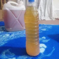 آبغوره دشمن زیاری