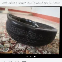کشکول دریایی