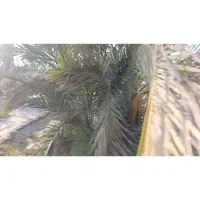 فروش ۲۰۰۰ متری