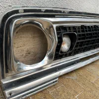 جلوپنجره آهو سیمرغ آمریکایی