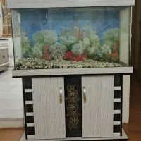 اکواریوم بدنه ام دی اف