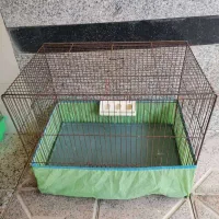 لوازم پرنده|لوازم جانبی حیوانات|ابرکوه, |دیوار