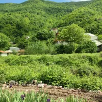 اجاره ویلای جنگلی کوهستانی در روستای خلیندره|اجارهٔ کوتاه‌مدت ویلا و باغ|گرگان, |دیوار