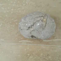 سنگ کلکسیونی کانسنگ