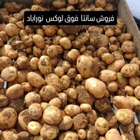 فروش سیب خوش رنگ