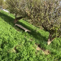 فروش گاوداری /۵/۶۰۰متر/سند تک برگ